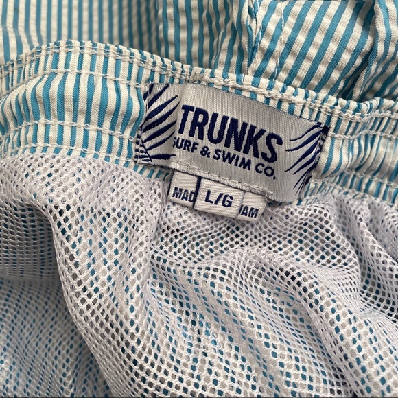 Surf and Swim Co turquoise blue and white striped swim trunks - Picture 3 of 7